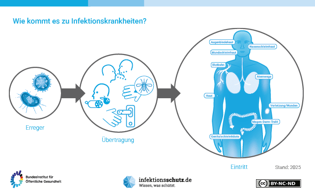 Virus Oder Bakterielle Infektion Symptome