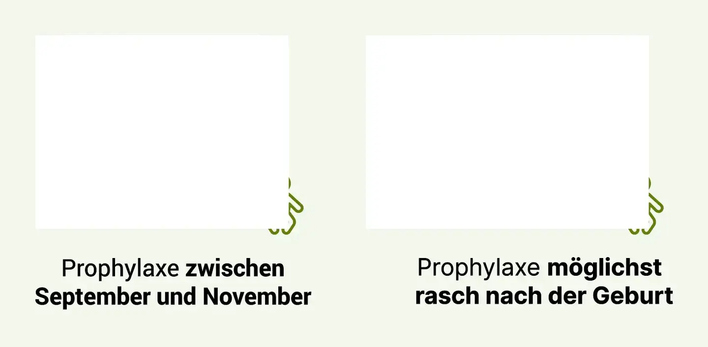 Bei einer Geburt zwischen April bis September ist die Prophylaxe zwischen September und November. Bei einer Geburt zwischen Oktober bis März ist die Prophylaxe möglichst rasch nach der Geburt. 
