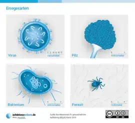 Vorschau des Plakats "Erregerarten"