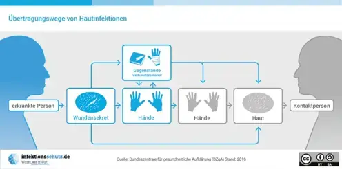 Vorschaubild des Plakats "Übertragungswege von Hautinfektionen"