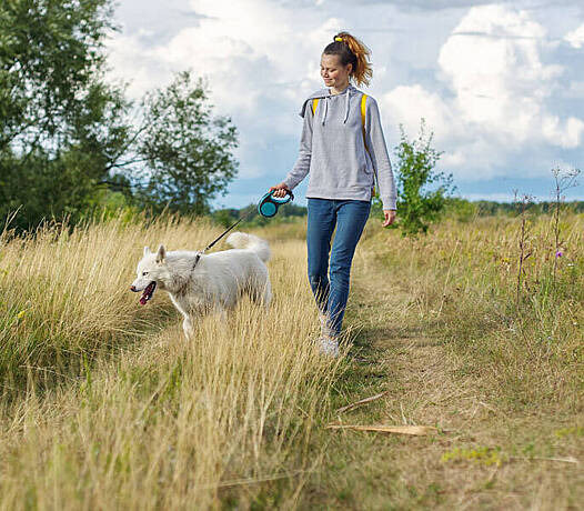 Frau läuft mit Hund über eine Wiese