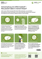 Infografik: Schutzimpfung mit mRNA-Impfstoff – Was passiert dabei in meinem Körper?