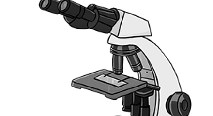 Die Illustration zeigt ein Licht-Mikroskop auf dem ein Objektträger liegt.