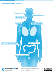 Vorschaubild des Plakats "Eintrittspforten für Erreger"