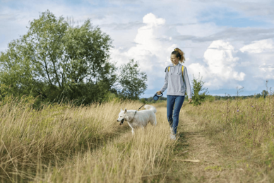 Frau und Hund gehen auf einem Feldweg spazieren