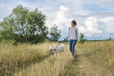 Frau und Hund gehen auf einem Feldweg spazieren
