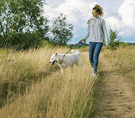 Frau geht mit Hund im Feld spazieren