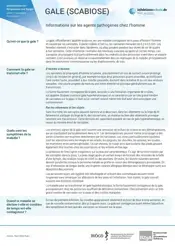 Aperçu du profil pathogène de la gale