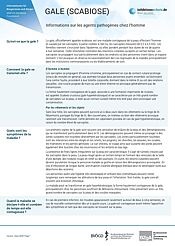 Aperçu du profil pathogène de la gale
