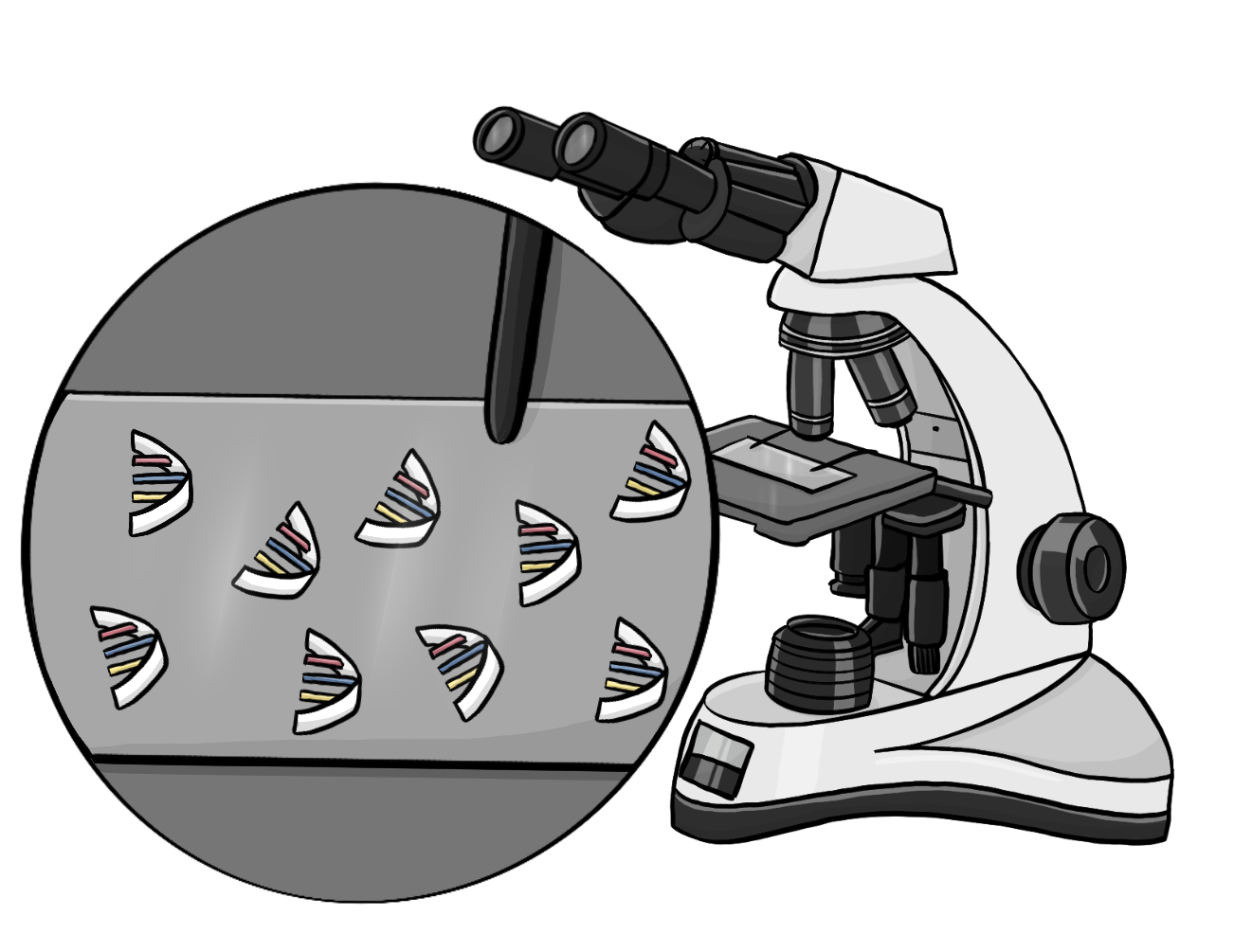 Impfstoff unter dem Mikroskop