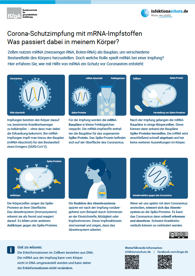 corona schutzimpfung infektionsschutz de